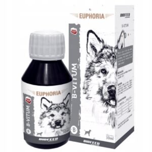 Vitaminas del grupo B para perros