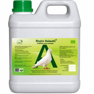 PARABIOTICOS PALOMAS