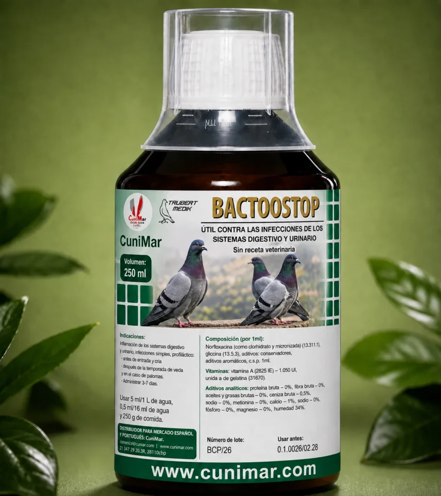 Beneficios de tratar enfermedades palomas entre productos naturales y antibióticos